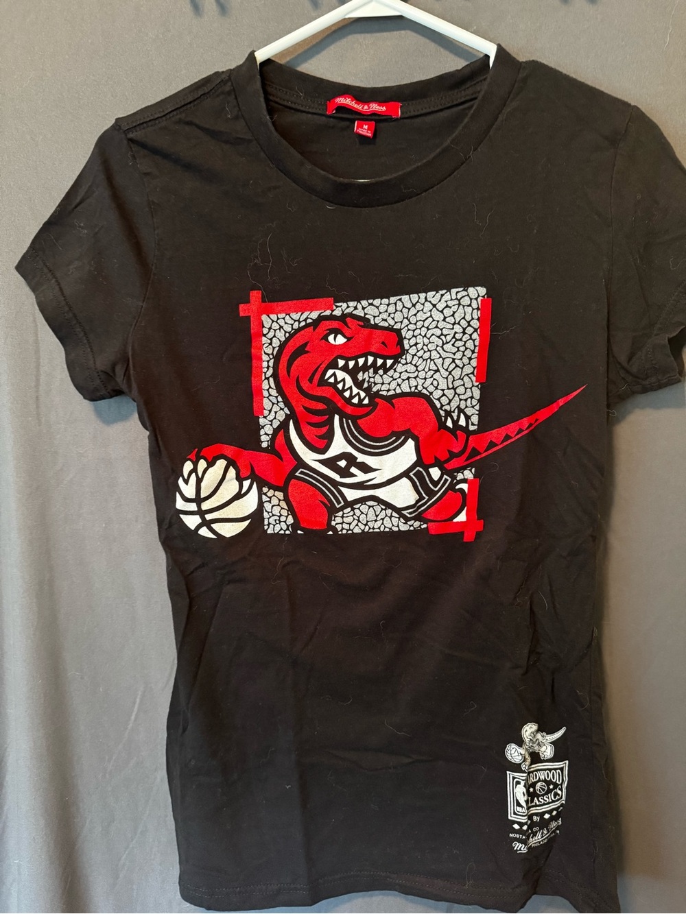 Mitchell & Ness Toronto Raptors Dino Basketball Shirt